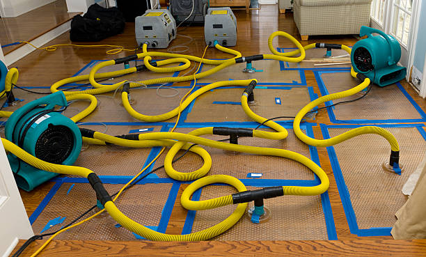 Professional Structural Drying And Dehumidification technician working in Buena Park, CA